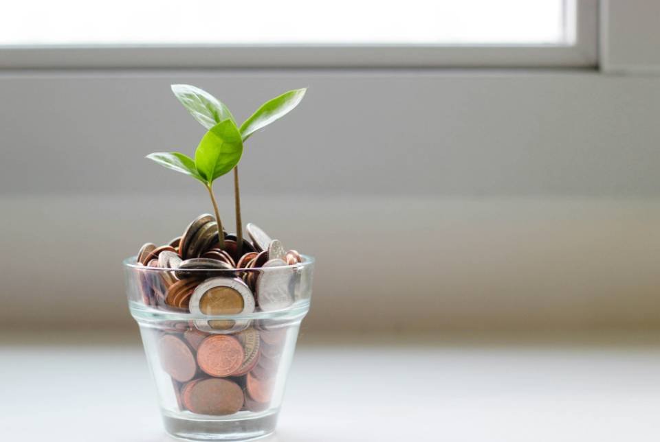 Mis Ahorros